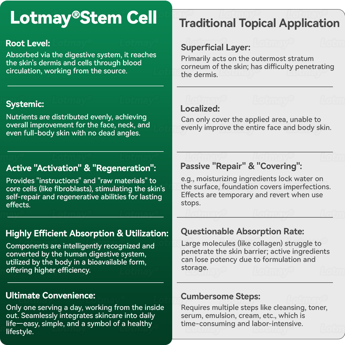 Lotmay® Stem Cell Collagen Peptide Oral Drops🎁🎁